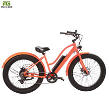 500W Snow Electric Bicycle 26inch Fat Tire E Bike